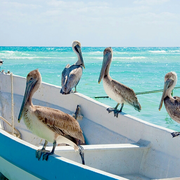 Meet the Posher - Picture 4 of 7